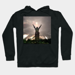 Praise the Sun Hoodie